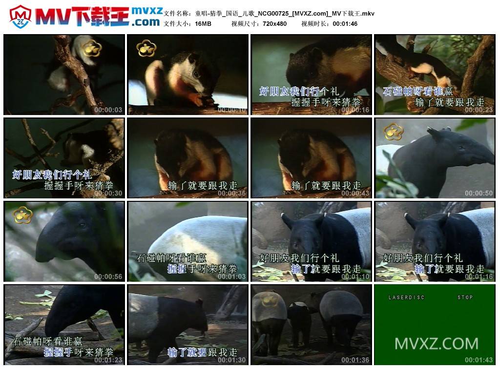 童唱-猜拳_国语_儿歌_NCG00725